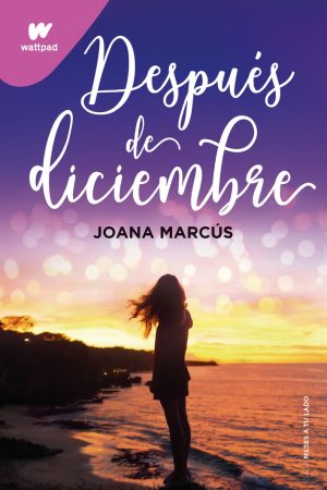 DESPUÉS DE DICIEMBRE - WP