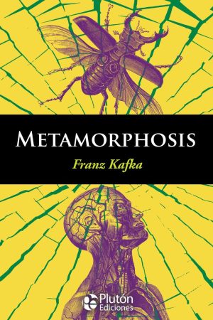 METAMORPHOSIS. ENGLISH