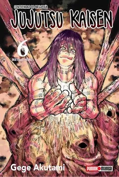 JUJUTSU KAISEN 06