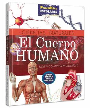 CUERPO HUMANO