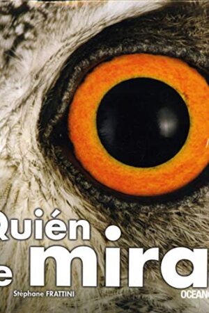 ¿Quién me mira? (con solapas)