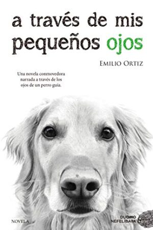 A  TRAVES DE MIS PEQUEÑOS OJOS