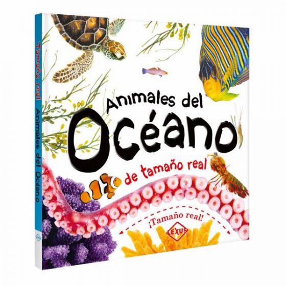 Animales del Océano