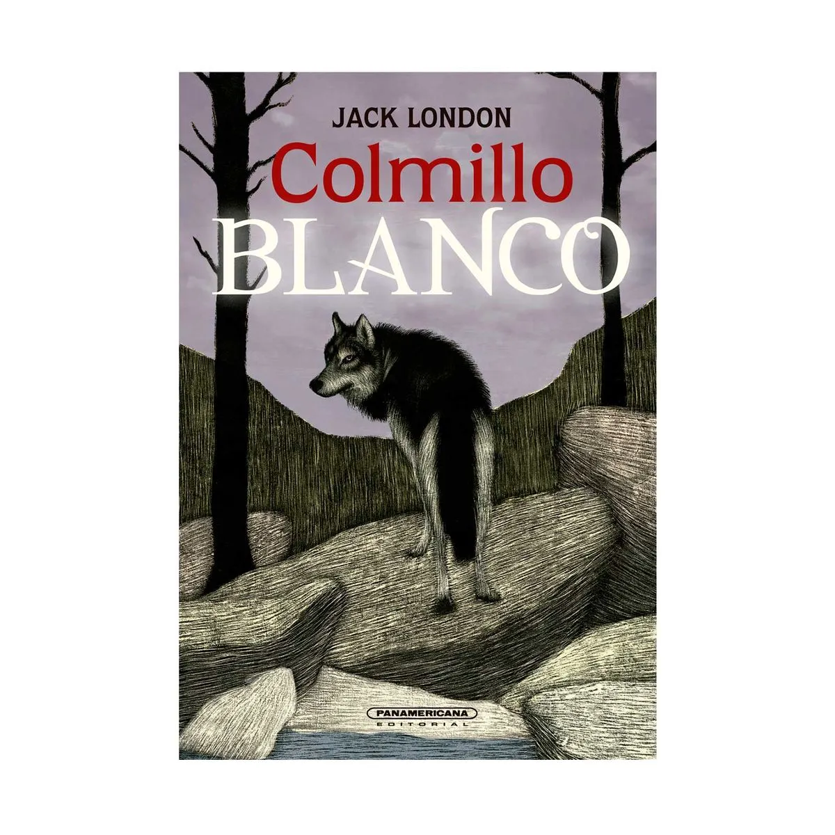 COLMILLO BLANCO
